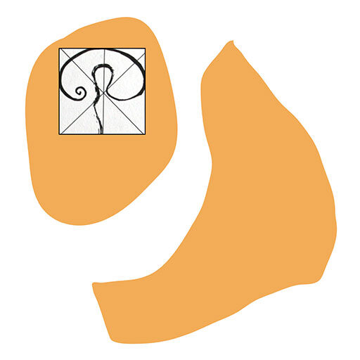 Logo mit Schrift - Mal- und Zeichenschule Kassel - Freie Schule für organische Gestaltung